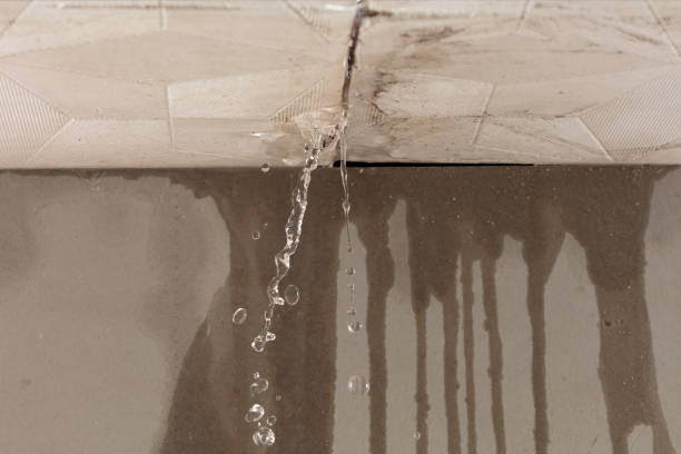 Professional Sewage Cleanup technician working in Peru, IL